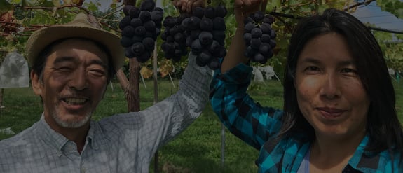 Two-people-in-vineyard-dark